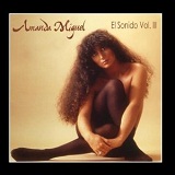 El Ultimo Sonido Volumen III Lyrics Amanda Miguel