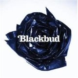 Blackbud Lyrics Blackbud