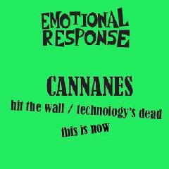 Hit the Wall Lyrics The Cannanes