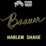 Harlem Shake Lyrics Baauer