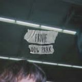 Dog Park Lyrics Ernie