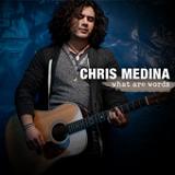 What Are Words Lyrics Chris Medina