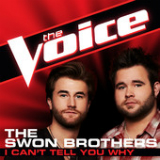 I Can't Tell You Why (The Voice Performance) [Single] Lyrics The Swon Brothers
