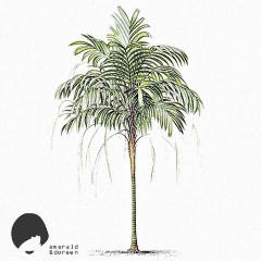 The Palm Tree Lyrics Daytona