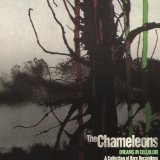 The Fan & the Bellows Lyrics The Chameleons