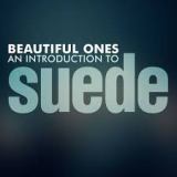 Beautiful Ones: An Introduction To Suede Lyrics Suede