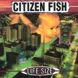 Life Size Lyrics Citizen Fish
