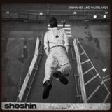 Epiphanies and Wastelands Lyrics Shoshin