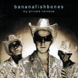 My Private Rainbow Lyrics Bananafishbones
