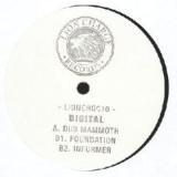 Dub Mammoth Lyrics Digital