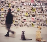 Cats & Dogs Lyrics Evidence