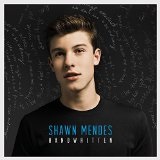 Life of the Party (Single) Lyrics Shawn Mendes