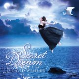Secret Dream Lyrics David Wahler