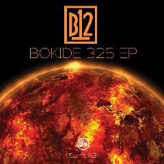 Bokide 325 EP Lyrics B12