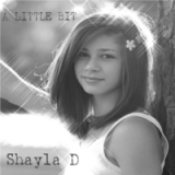 A Little Bit Lyrics Shayla D