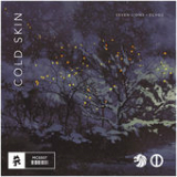 Cold Skin (Single) Lyrics Seven Lions & Echos