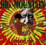 Free Up Lyrics Big Mountain