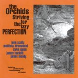 Striving For The Lazy Perfection Lyrics The Orchids