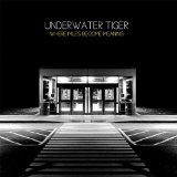 Where Miles Become Meaning Lyrics Underwater Tiger
