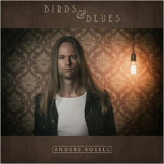 Birds & Blues Lyrics Anders Rosell