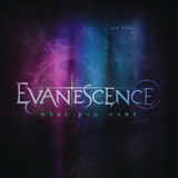 What You Want (Single) Lyrics Evanescence