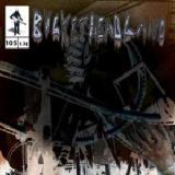 The Moltrail Lyrics Buckethead