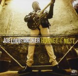 Hornet's Nest Lyrics Joe Louis Walker