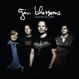 Live In Concert Lyrics Gin Blossoms