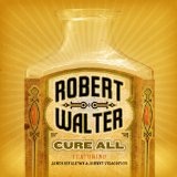 Cure All Lyrics Robert Walter