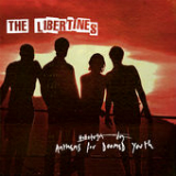 Anthems for Doomed Youth Lyrics The Libertines