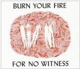 Burn Your Fire for No Witness Lyrics Angel Olsen