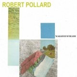 Robert Pollard