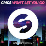 Won't Let You Go (Single) Lyrics India Mill