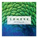 Calm Down (Single) Lyrics Bombee