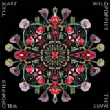 Wild Poppies Lyrics The Mast