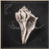 Lullaby and… The Ceaseless Roar Lyrics Robert Plant & The Sensational Space Shifters