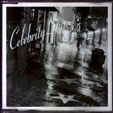 Celebrity Skin Lyrics Courtney Love