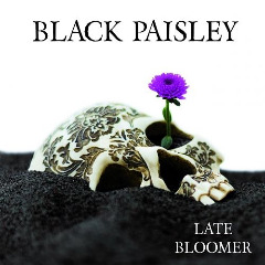 Late Bloomer Lyrics Black Paisley