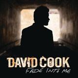 Fade Into Me (Radio Edit) (Single) Lyrics David Cook