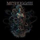 The Violent Sleep of Reason Lyrics Meshuggah