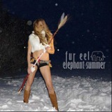 Elephant Summer Lyrics Fur Eel