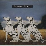 Animal Logic Lyrics Animal Logic