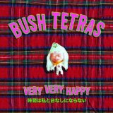 Miscellaneous Lyrics Bush Tetras
