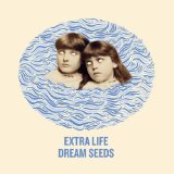 Dream Seeds Lyrics Extra Life