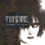 Spellbound The Collection Lyrics Siouxsie And The Banshees