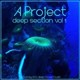 Deep Section, Vol. 1 Lyrics A Project