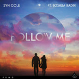 Follow Me (Single) Lyrics Syn Cole