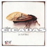 The Cicadas Lyrics The Cicadas