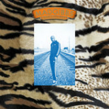 Knicks (Remix) [EP] Lyrics Freddie Gibbs & Madlib