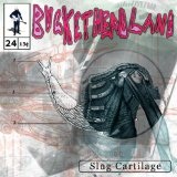 Slug Cartilage Lyrics Buckethead